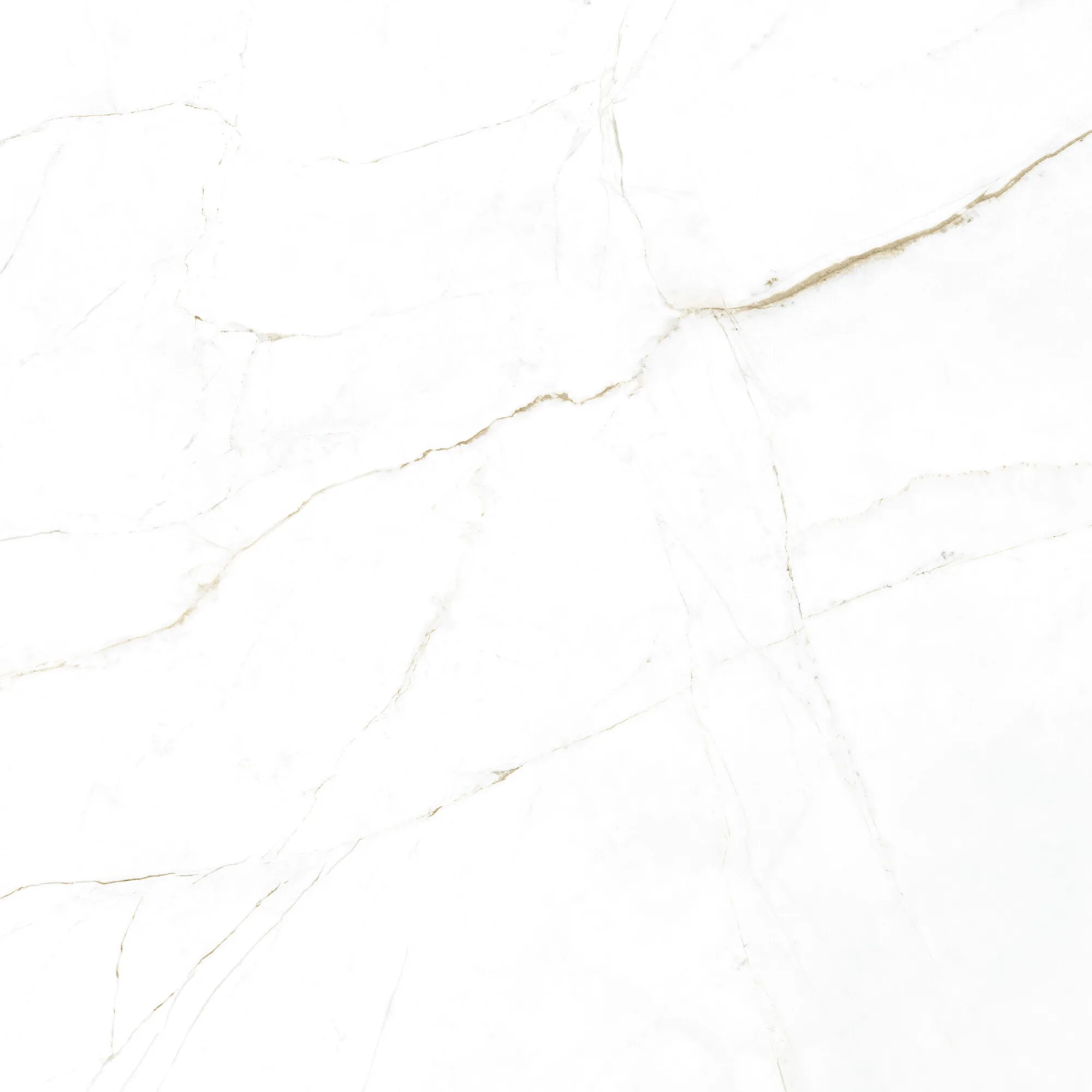 Dual White Marble-Effect Porcelain Tile 1000x1000mm
